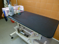 New Zoobarocco - Toelettatura foto1