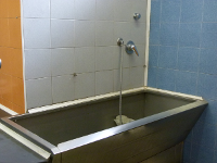 New Zoobarocco - Toelettatura foto2