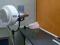 New Zoobarocco - Toelettatura foto2